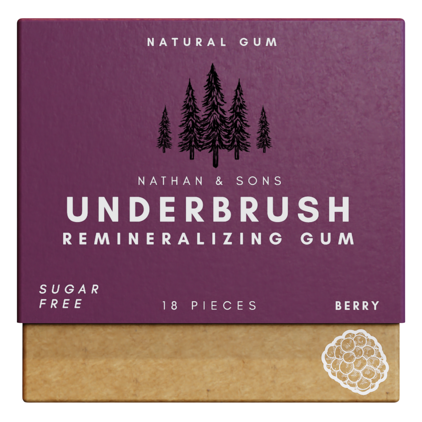 All Natural Remineralizing Gum - exp